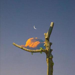 上海熟妇搡BBBB搡BBBB
